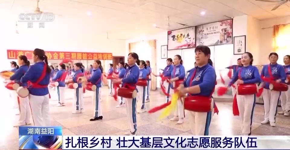 白菜大全自动送彩金